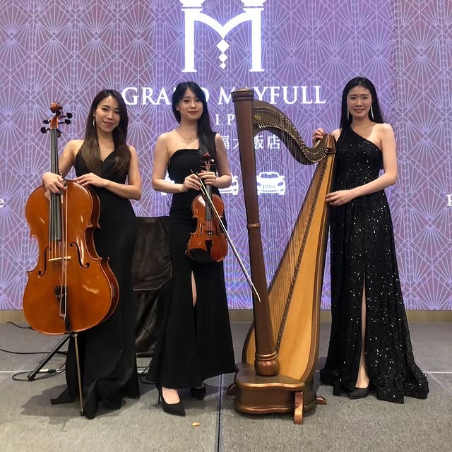 高質感三人弦樂團(豎